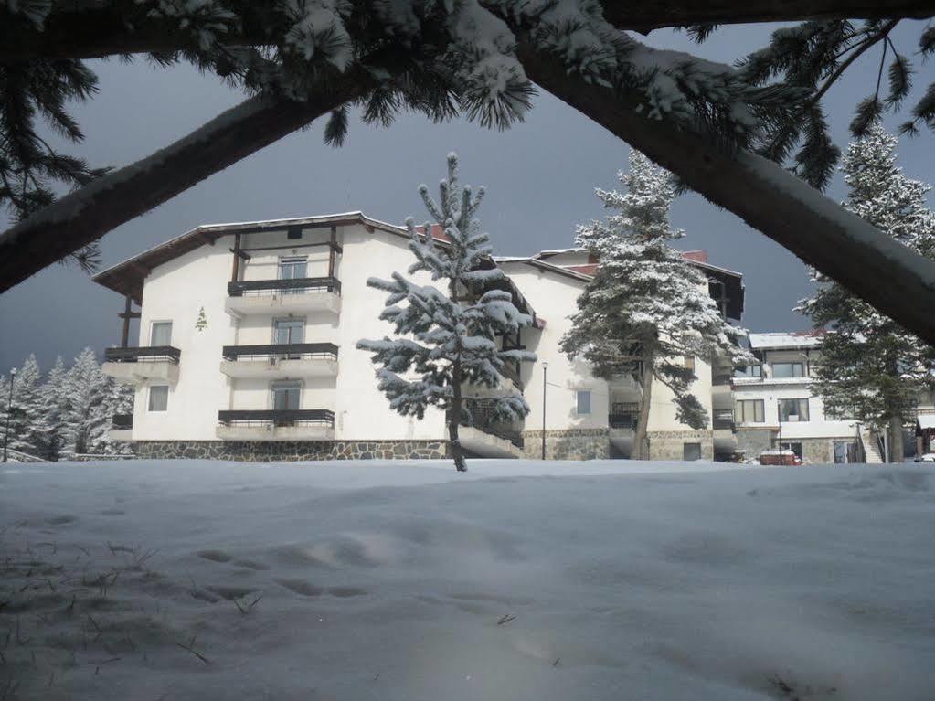 Belitsa  Bor Hotel المظهر الخارجي الصورة
