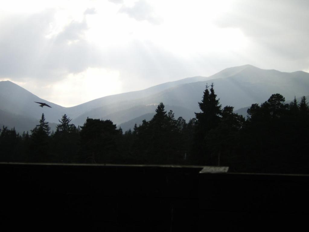 Belitsa  Bor Hotel الغرفة الصورة